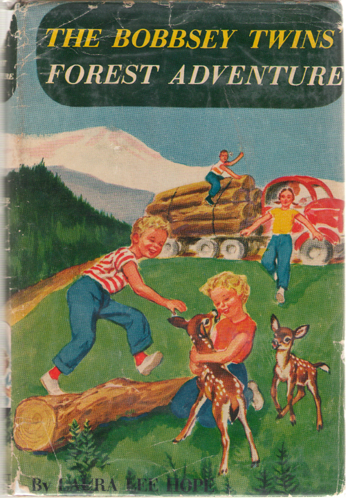 Image for The Bobbsey Twins Forest Adventure