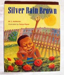 Image for Silver Rain Brown