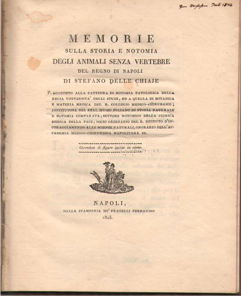 Image for Memorie Sulla Storia E Notomia Degli Animali Senza Vertebre Del Regno De Napoli