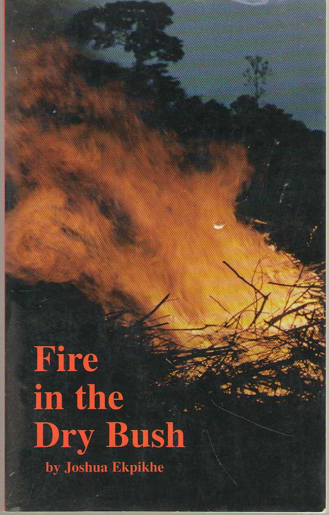 Image for Fire In The Dry Bush